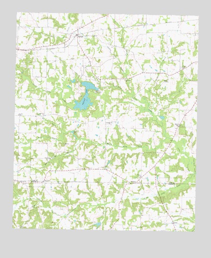 Leesburg, TX USGS Topographic Map