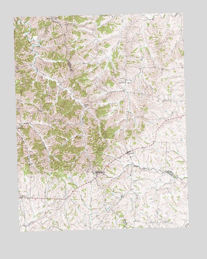 Leesburg, KY USGS Topographic Map