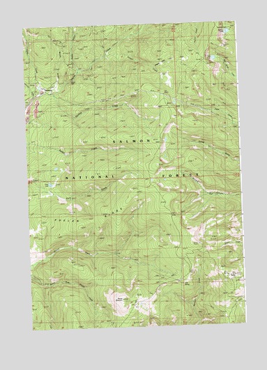 Leesburg, ID USGS Topographic Map