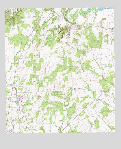 Leesville, TX USGS Topographic Map