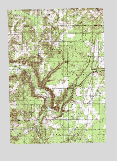 Leetsville, MI USGS Topographic Map