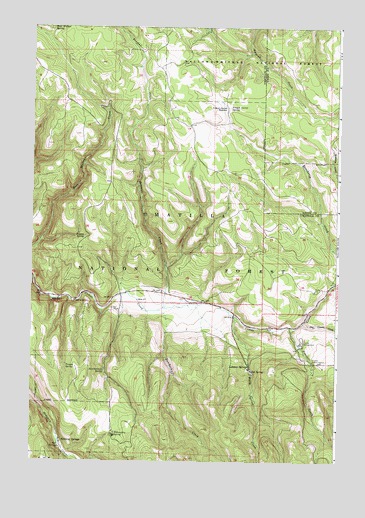 Lehman Springs, OR USGS Topographic Map