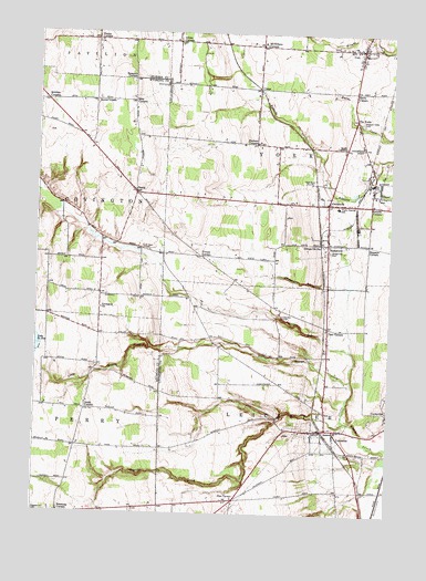 Leicester, NY USGS Topographic Map