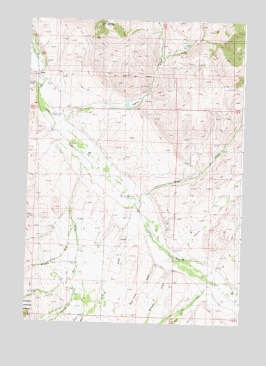 Lemhi, ID USGS Topographic Map