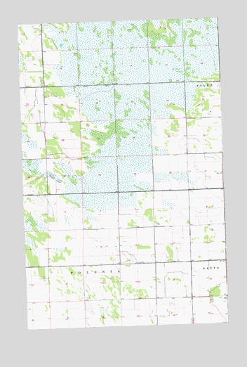 Leo, MN USGS Topographic Map