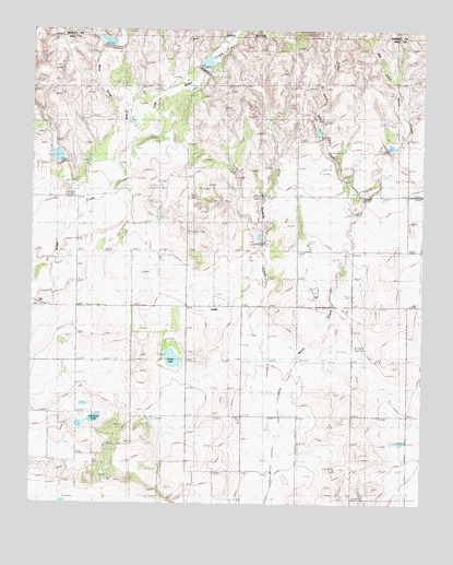 Lesley, TX USGS Topographic Map