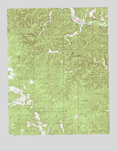 Lewis Hollow, MO USGS Topographic Map