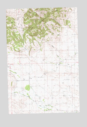 Lewis Peak, MT USGS Topographic Map