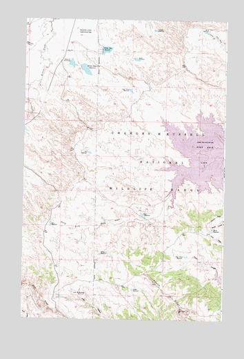 Lewis Reservoir, MT USGS Topographic Map