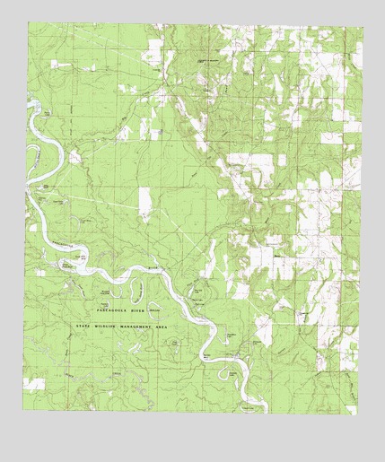 Basin, MS USGS Topographic Map