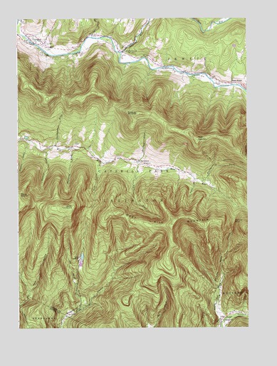 Lexington, NY USGS Topographic Map