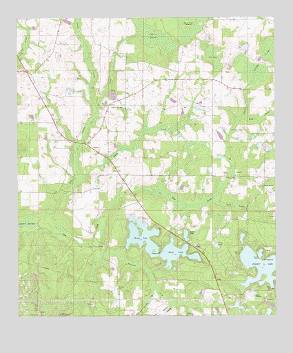 Liberty, FL USGS Topographic Map
