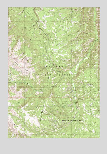 Lick Creek, OR USGS Topographic Map