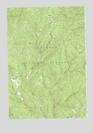 Lick Point, ID USGS Topographic Map