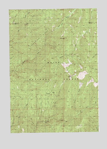 Lightning Ridge, ID USGS Topographic Map