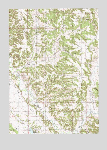 Linden, WY USGS Topographic Map