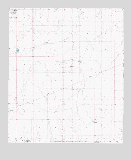 Bassett Lake, NM USGS Topographic Map
