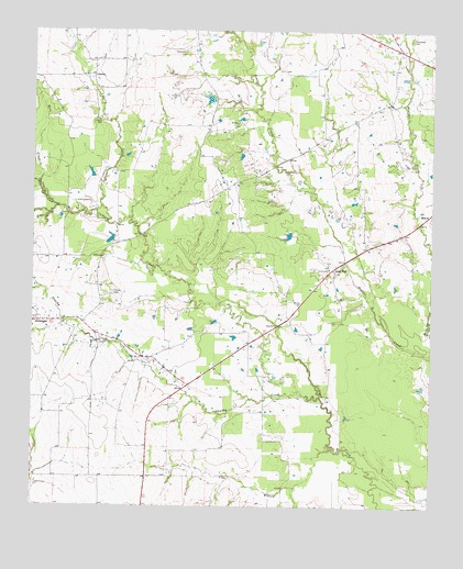 Line Branch, TX USGS Topographic Map