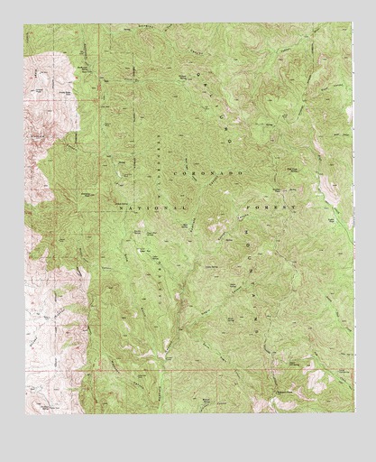 Bassett Peak, AZ USGS Topographic Map