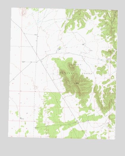 Lion Mountain, NM USGS Topographic Map