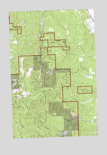 Lion Mountain, MT USGS Topographic Map