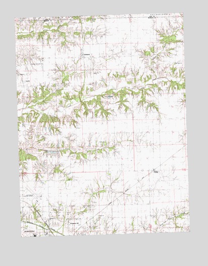 Literberry, IL USGS Topographic Map