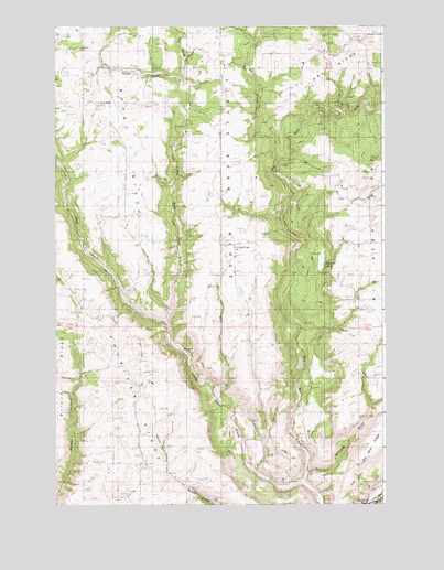 Little Bear Ridge, ID USGS Topographic Map