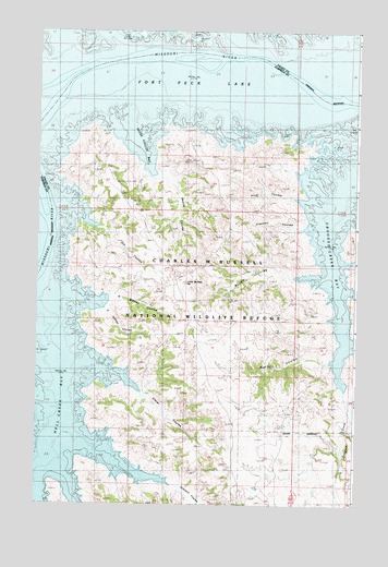 Little Buffalo Hill, MT USGS Topographic Map