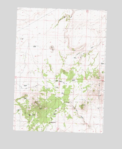 Little Juniper Mountain, OR USGS Topographic Map