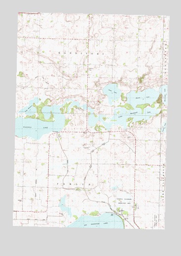 Little Kandiyohi Lake, MN USGS Topographic Map