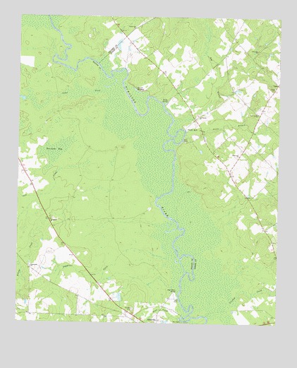 Abbeville North, GA USGS Topographic Map