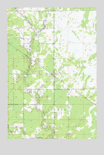 Little Swan, MN USGS Topographic Map