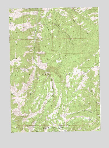 Little Trinity Lake, ID USGS Topographic Map