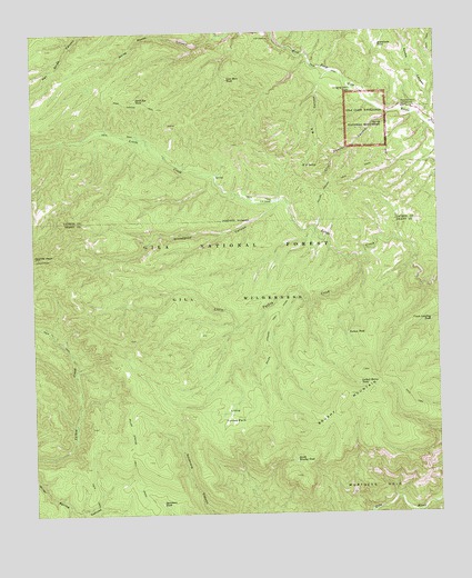 Little Turkey Park, NM USGS Topographic Map