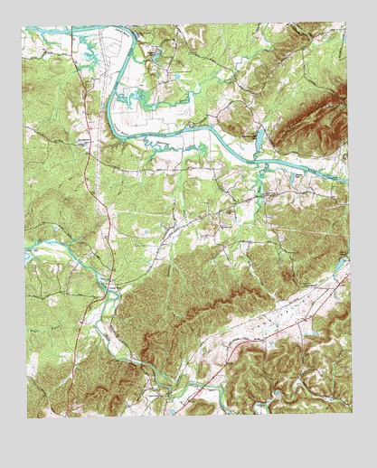 Livingston, GA USGS Topographic Map