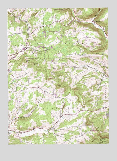 Livingstonville, NY USGS Topographic Map