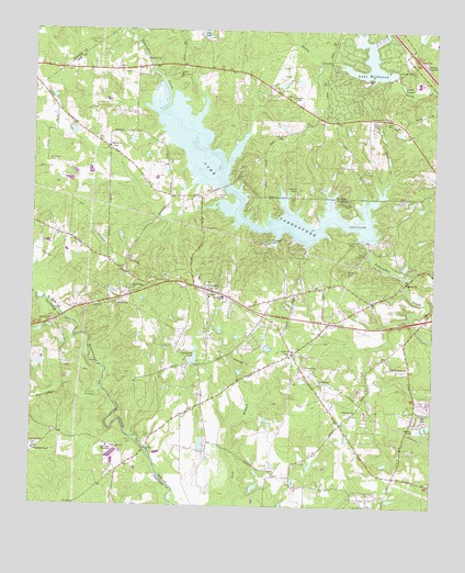 Lizella, GA USGS Topographic Map