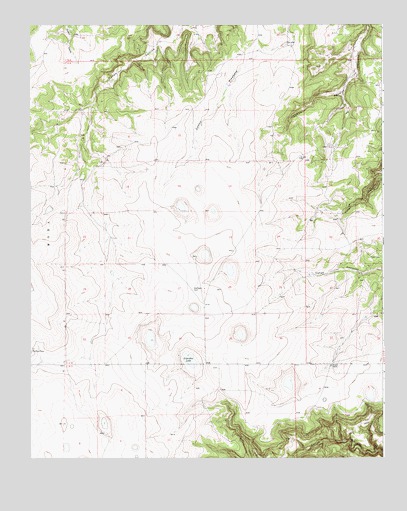 Llonidas Lake, NM USGS Topographic Map