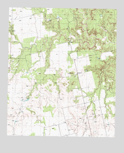 Lloyd Mountain, TX USGS Topographic Map