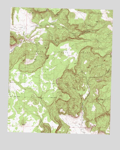 Lobo Springs, NM USGS Topographic Map