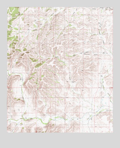Loco Canyon, NM USGS Topographic Map