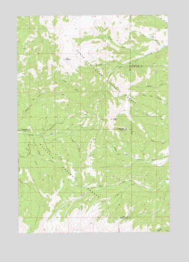Loco Mountain, MT USGS Topographic Map