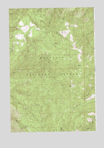 Lodge Point, ID USGS Topographic Map