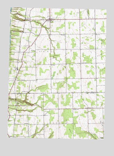 Lodi, NY USGS Topographic Map