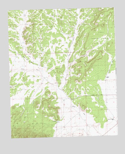 Log Canyon, NM USGS Topographic Map
