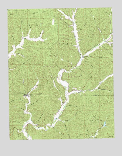 Loggers Lake, MO USGS Topographic Map