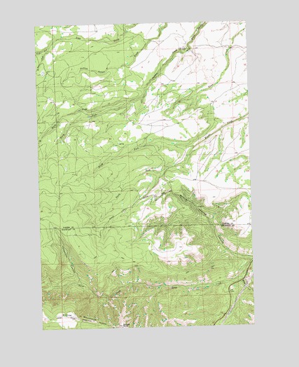Logy Creek SW, WA USGS Topographic Map