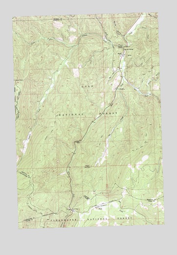 Lolo Hot Springs, MT USGS Topographic Map