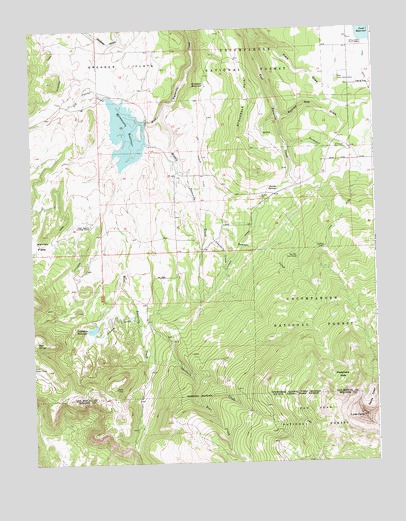 Lone Cone, CO USGS Topographic Map