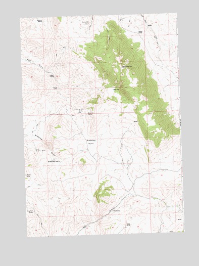 Lone Pine Peak, ID USGS Topographic Map